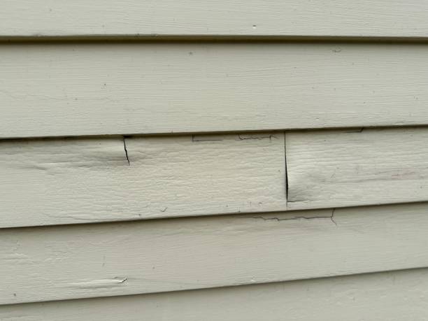 Best Siding for New Construction  in Zellwood, FL